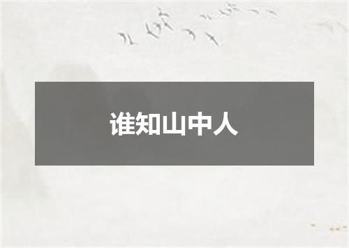 谁知山中人