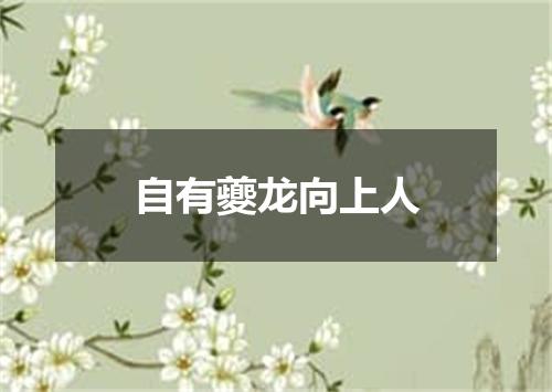 自有夔龙向上人