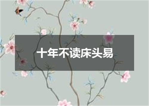 十年不读床头易