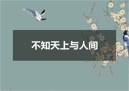 不知天上与人间