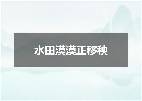 水田漠漠正移秧