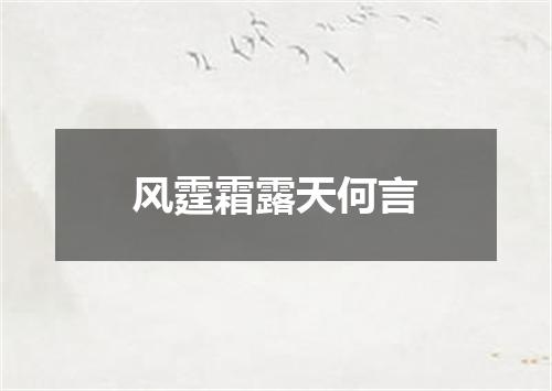 风霆霜露天何言