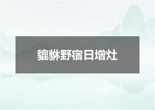 貔貅野宿日增灶