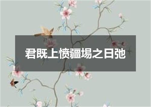 君既上愤疆埸之日弛