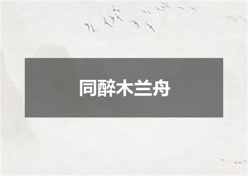 同醉木兰舟