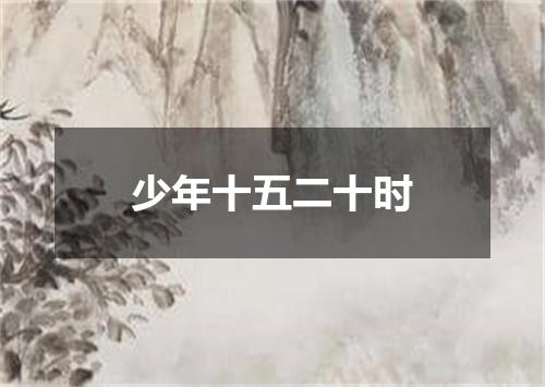 少年十五二十时