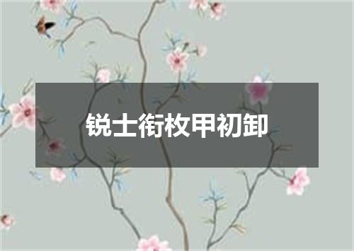 锐士衔枚甲初卸