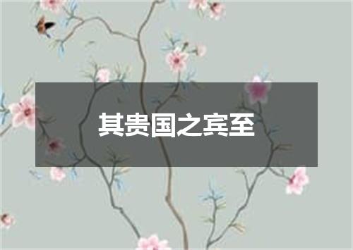 其贵国之宾至