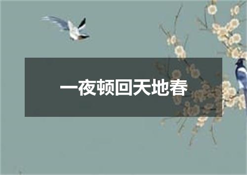 一夜顿回天地春