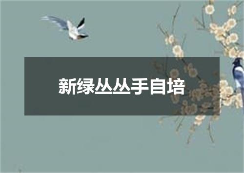 新绿丛丛手自培
