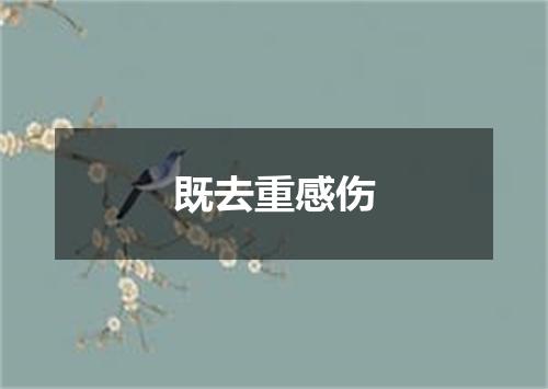 既去重感伤