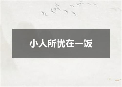 小人所忧在一饭