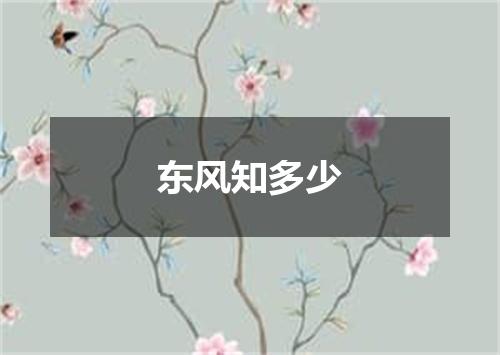 东风知多少