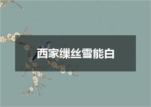 西家缫丝雪能白