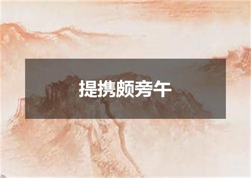 提携颇旁午
