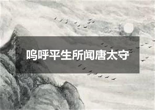 呜呼平生所闻唐太守