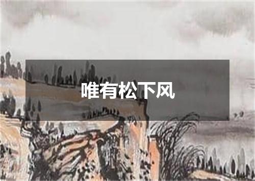 唯有松下风