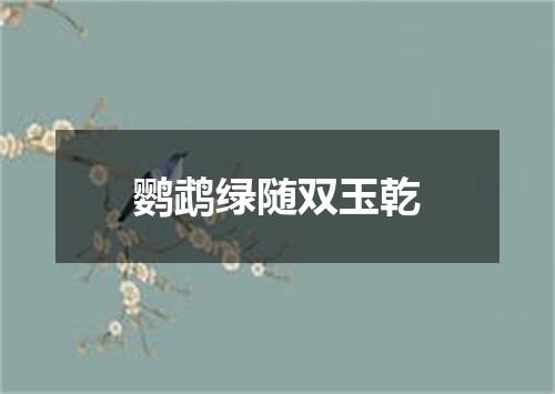 鹦鹉绿随双玉乾