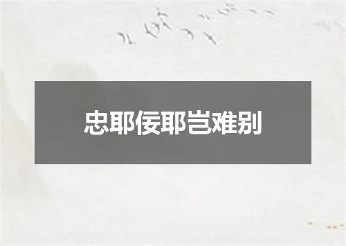 忠耶佞耶岂难别