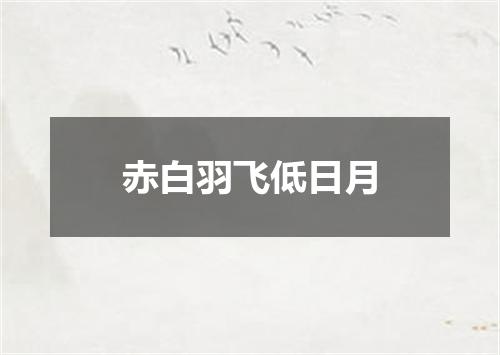 赤白羽飞低日月