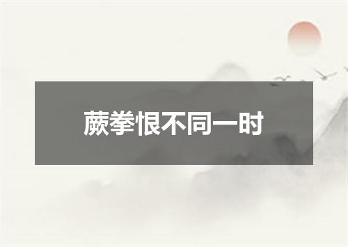 蕨拳恨不同一时