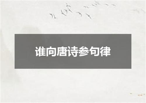 谁向唐诗参句律