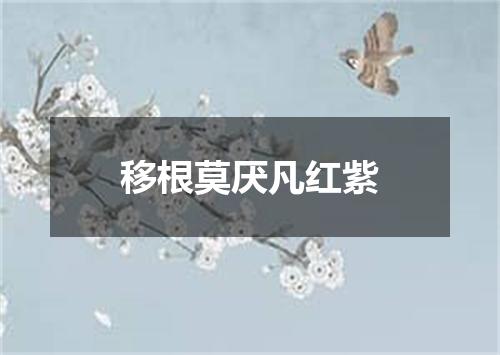移根莫厌凡红紫