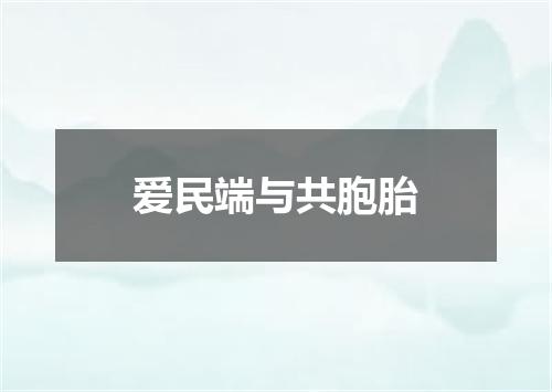 爱民端与共胞胎