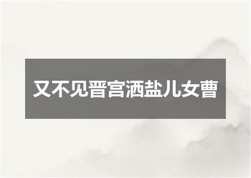 又不见晋宫洒盐儿女曹
