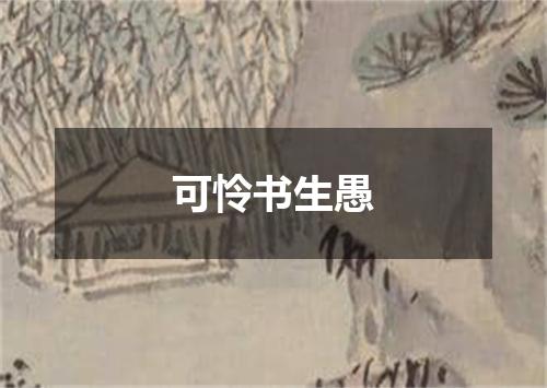 可怜书生愚