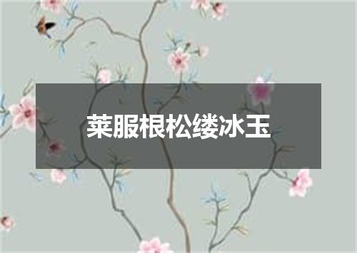 莱服根松缕冰玉