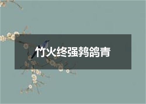 竹火终强鹁鸽青