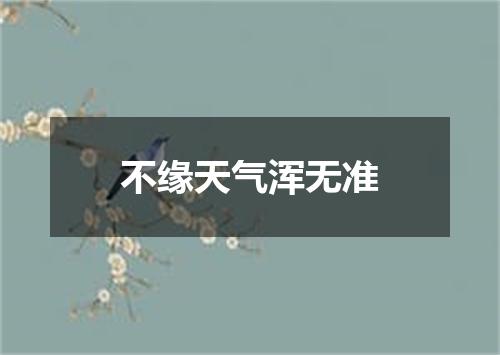 不缘天气浑无准