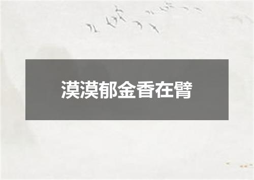 漠漠郁金香在臂