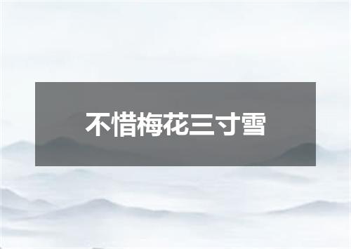 不惜梅花三寸雪