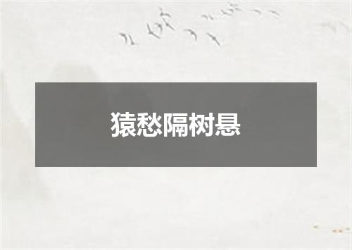 猿愁隔树悬