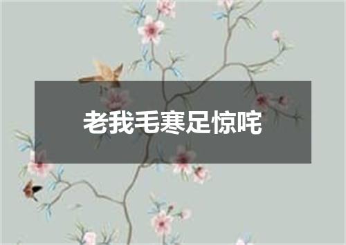 老我毛寒足惊咤