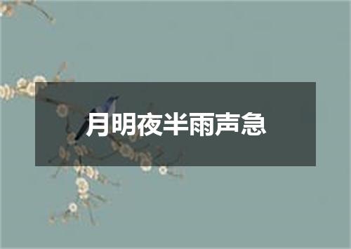 月明夜半雨声急