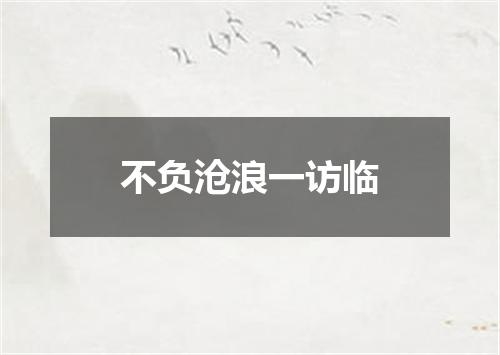 不负沧浪一访临