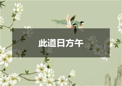 此道日方午