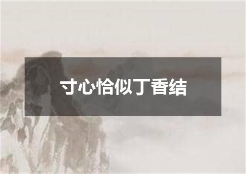 寸心恰似丁香结