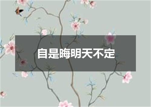 自是晦明天不定
