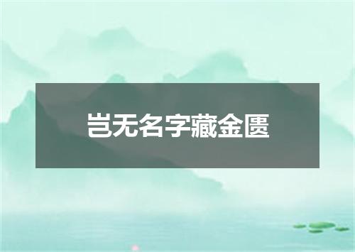 岂无名字藏金匮