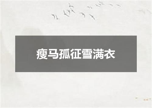 瘦马孤征雪满衣