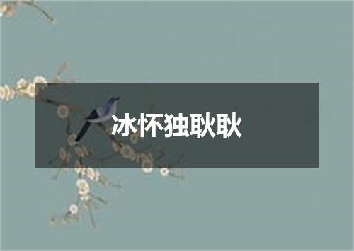 冰怀独耿耿