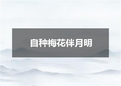 自种梅花伴月明