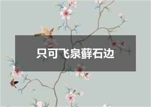 只可飞泉藓石边