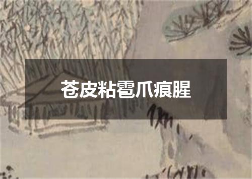 苍皮粘雹爪痕腥