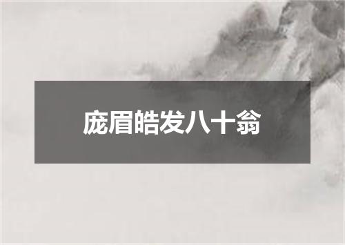 庞眉皓发八十翁