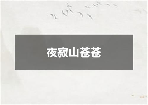 夜寂山苍苍